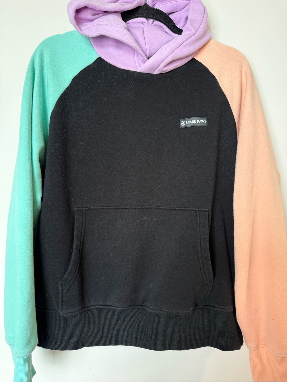 Matching Human & Dog Colorblock Hooded Sweatshirt - Picture 4 of 8